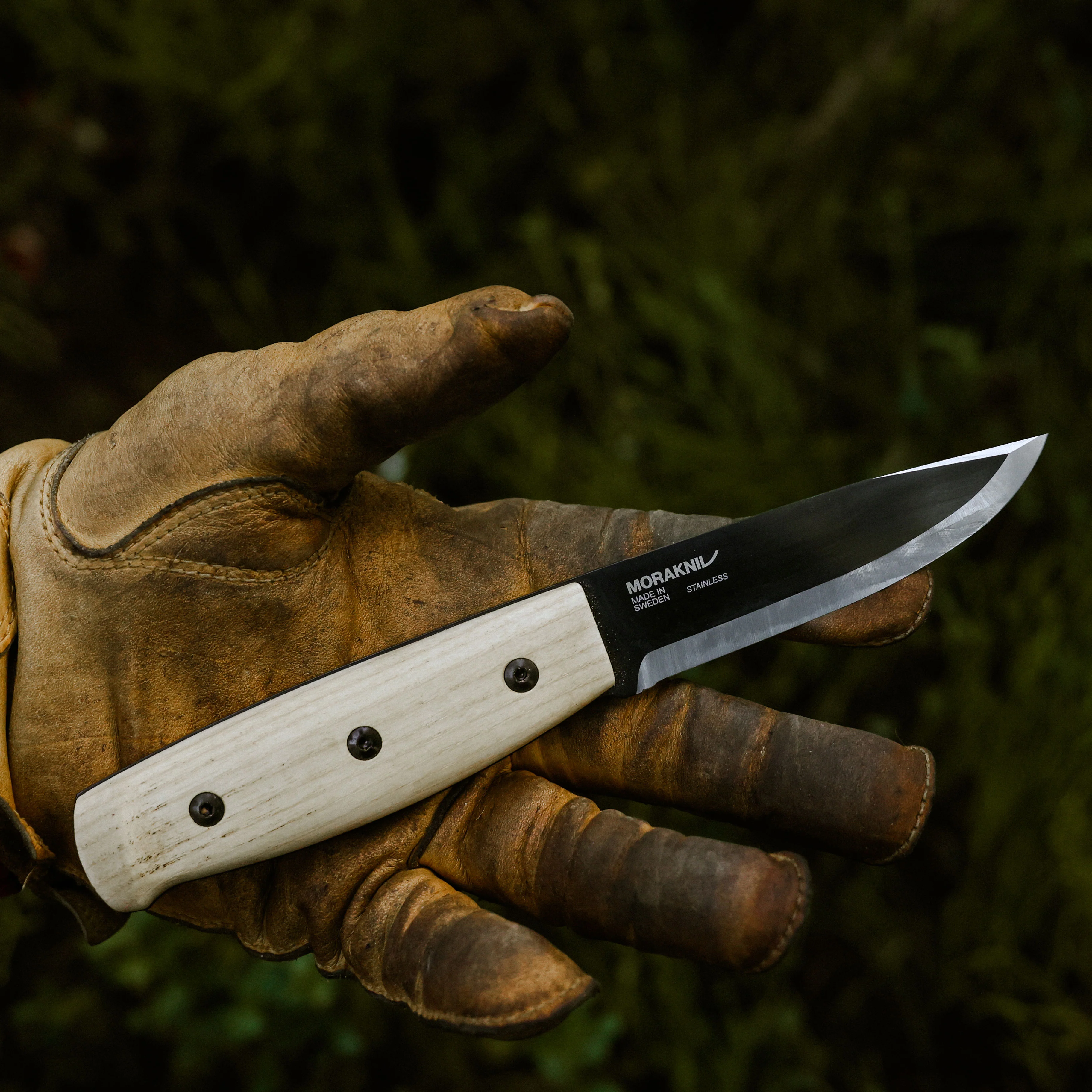 WIT Blackblade (S) Ash Wood - Image 7